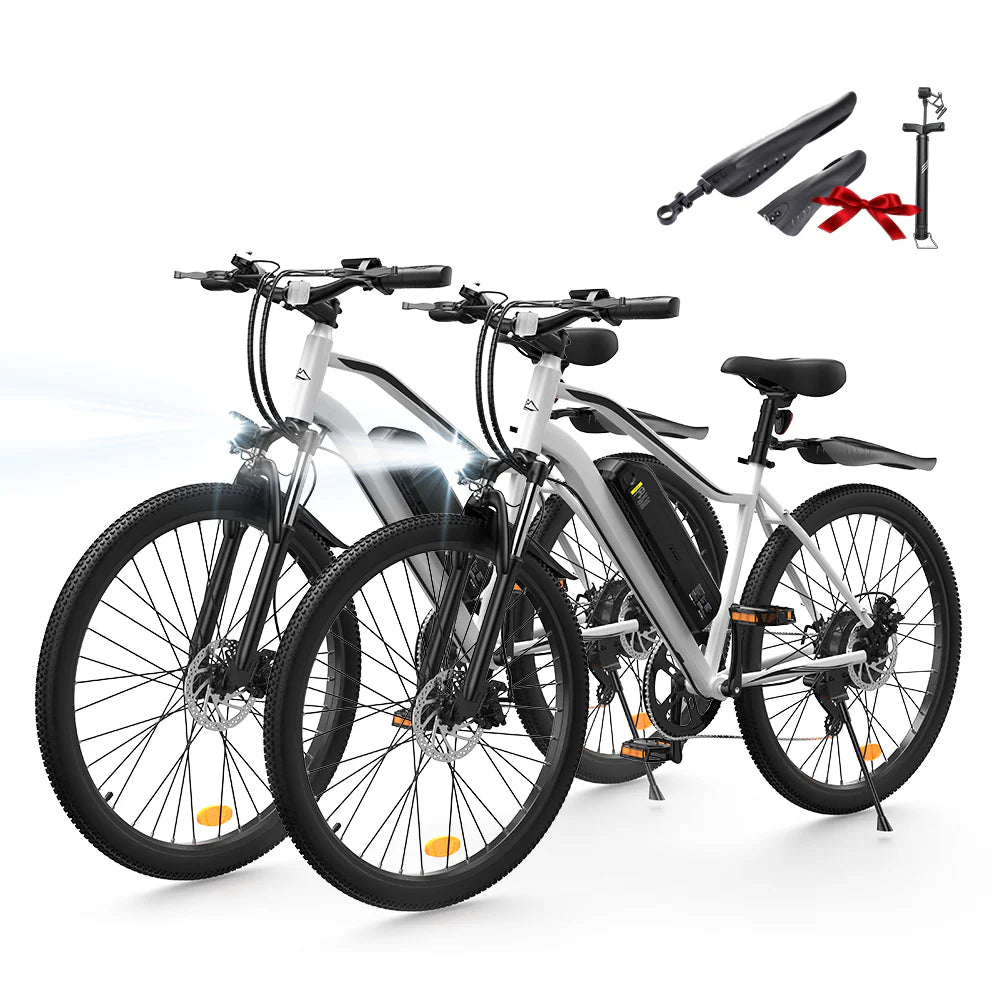 Vélo Électrique de Montagne EB3