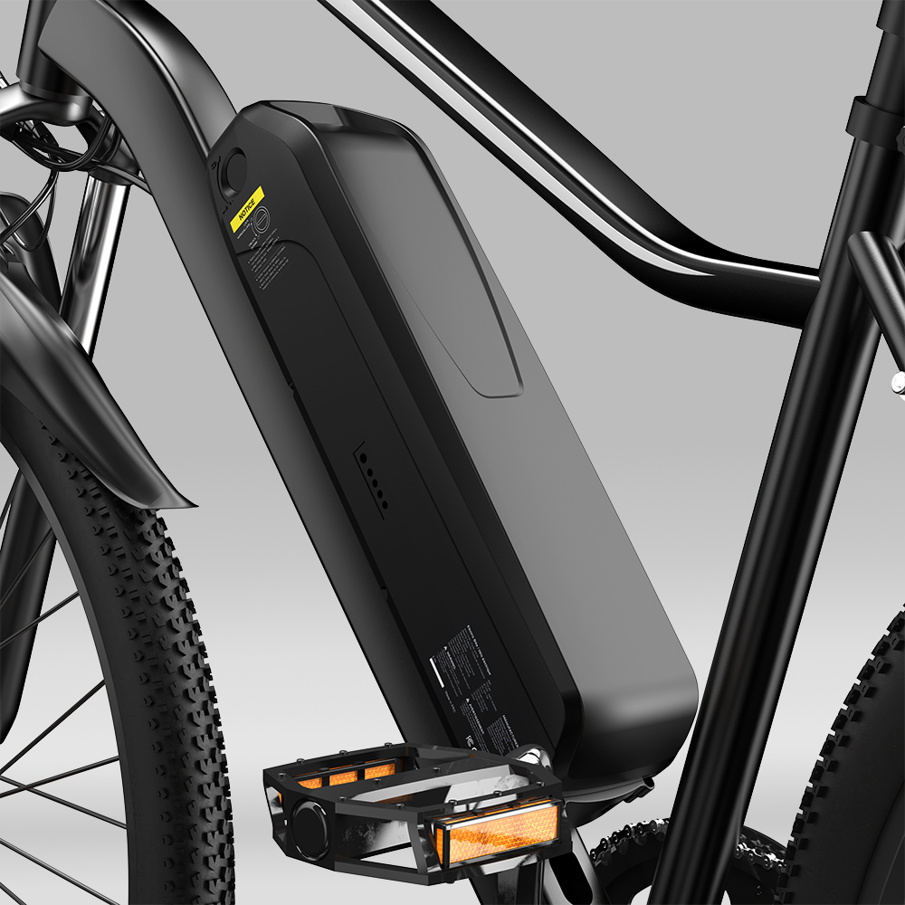 Vélo Électrique de Montagne EB3