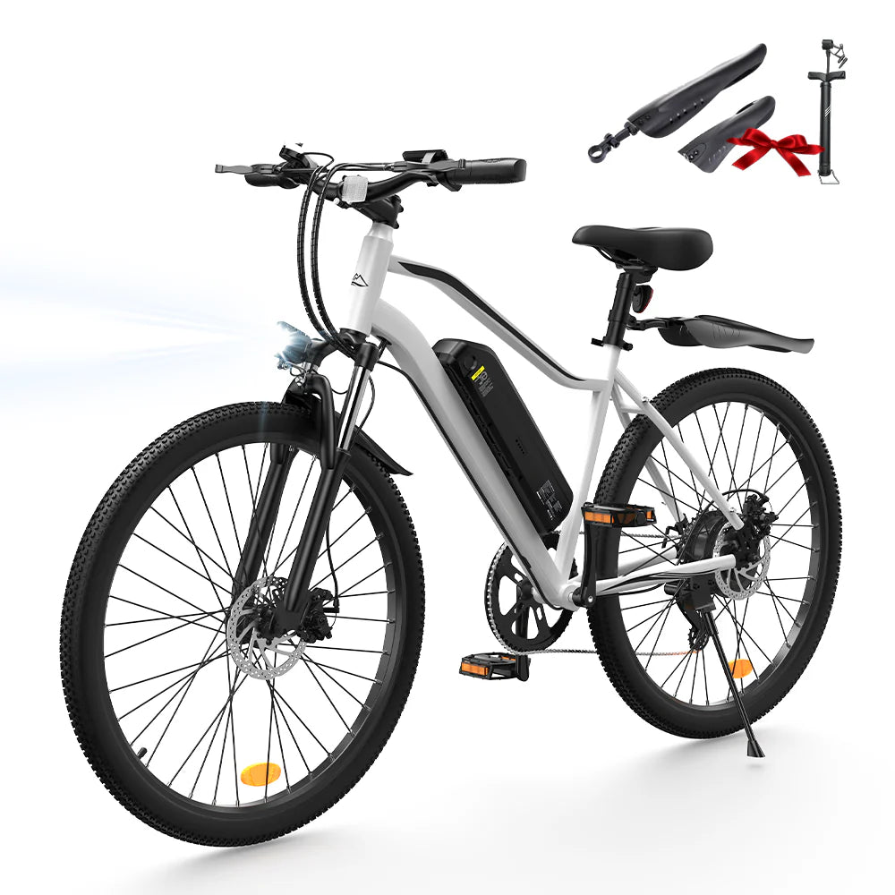 Vélo Électrique de Montagne EB3