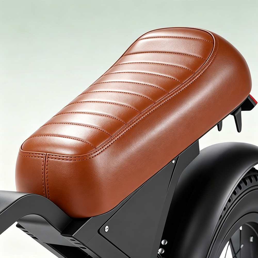 Vélo électrique rétro EB5Max à gros pneus de 20 pouces
