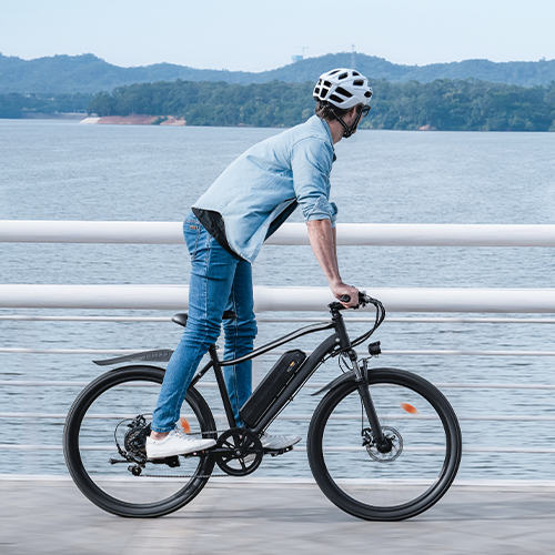 Vélo Électrique de Montagne EB3
