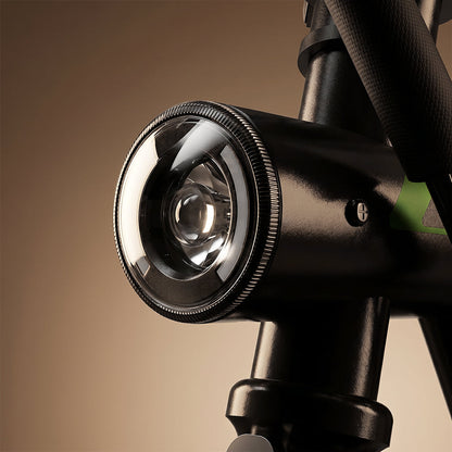 Vélo électrique pliable urbain EB1S 500W avec application mobile