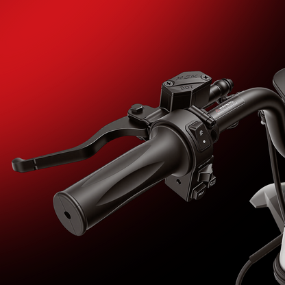 iScooter DX5Max – Moto électrique tout-terrain pour adultes