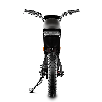 iScooter DX5Max – Moto électrique tout-terrain pour adultes