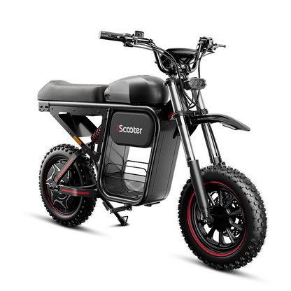 iScooter DX5Max – Moto électrique tout-terrain pour adultes