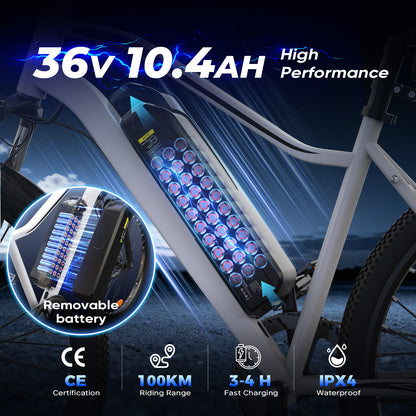 Vélo Électrique de Montagne EB3