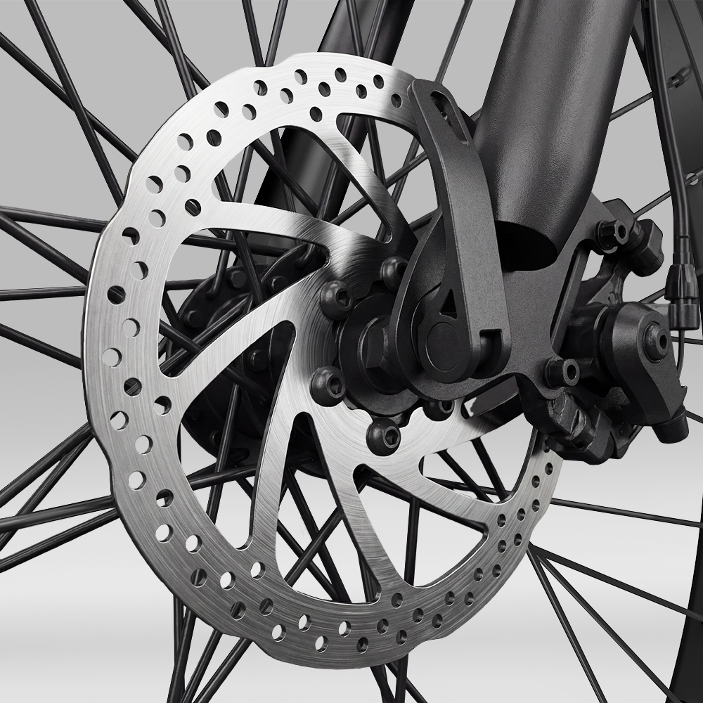 Vélo Électrique de Montagne EB3