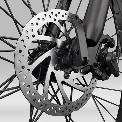 Vélo Électrique de Montagne EB3