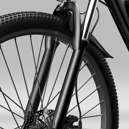 Vélo Électrique de Montagne EB3