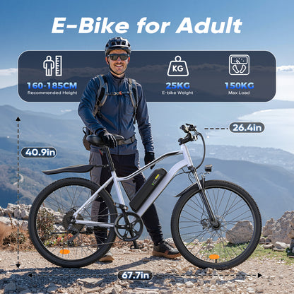 Vélo Électrique de Montagne EB3