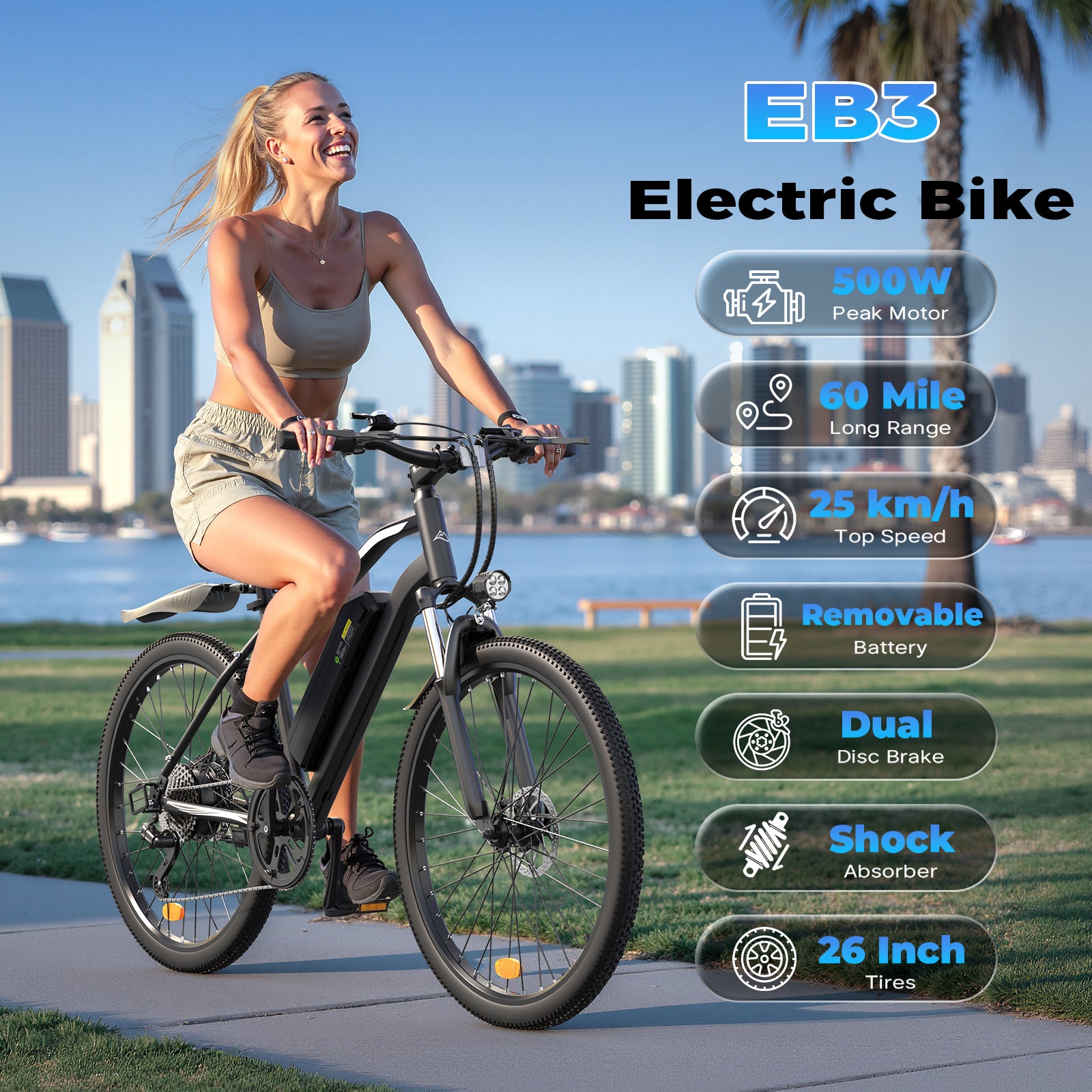 Vélo Électrique de Montagne EB3