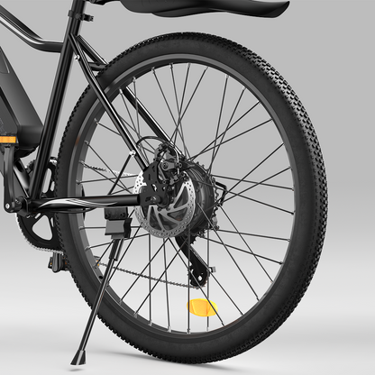 Vélo Électrique de Montagne EB3