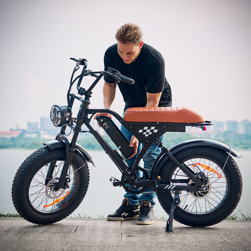 Vélo électrique rétro EB5Max à gros pneus de 20 pouces