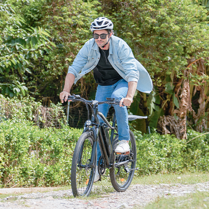 Vélo Électrique de Montagne EB3