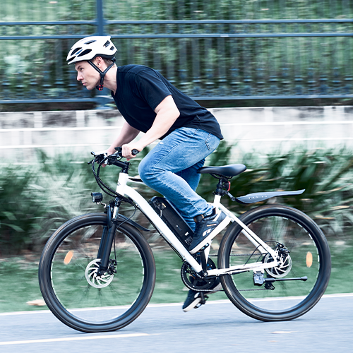 Vélo Électrique de Montagne EB3