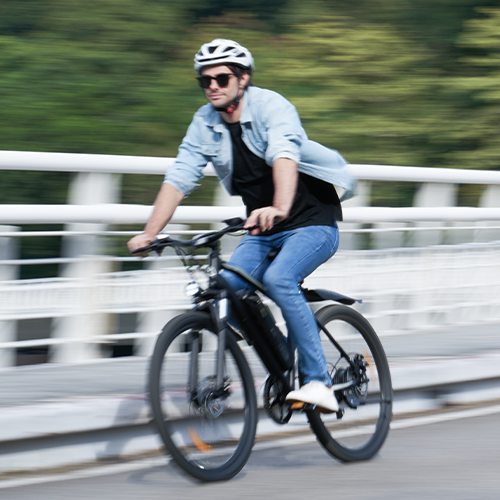 Vélo Électrique de Montagne EB3