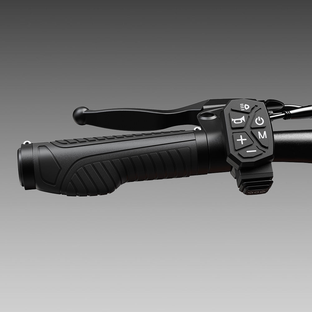 iScooter W12 3000W Trottinette Électrique Tout-Terrain
